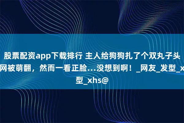 股票配资app下载排行 主人给狗狗扎了个双丸子头，全网被萌翻，然而一看正脸…没想到啊！_网友_发型_xhs@